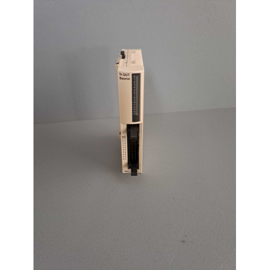 SCHNEIDER  TM2DDO16TK