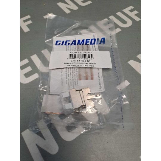 GIGAMEDIA GGM621030210