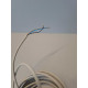 FESTO 525895