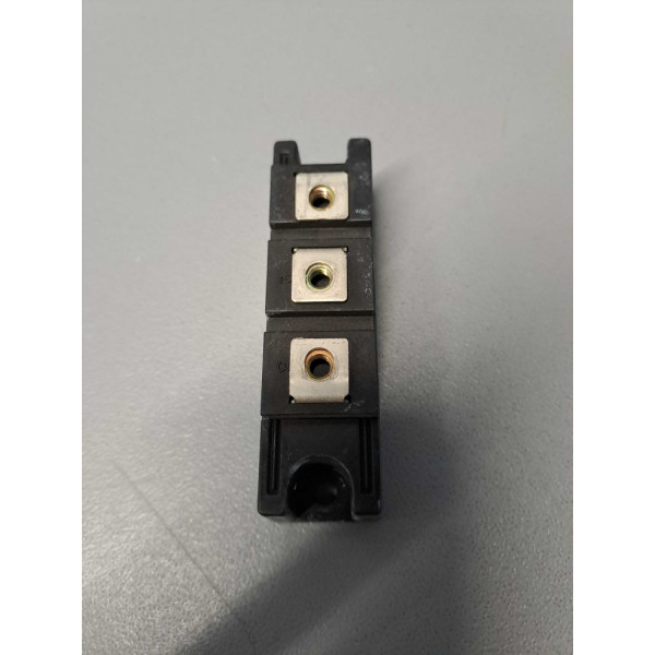 NIHON INTER ELECTRONICS CORPORATION  PD1008