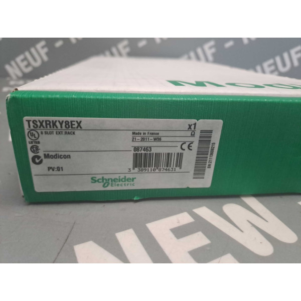 SCHNEIDER  TSXRKY8EX