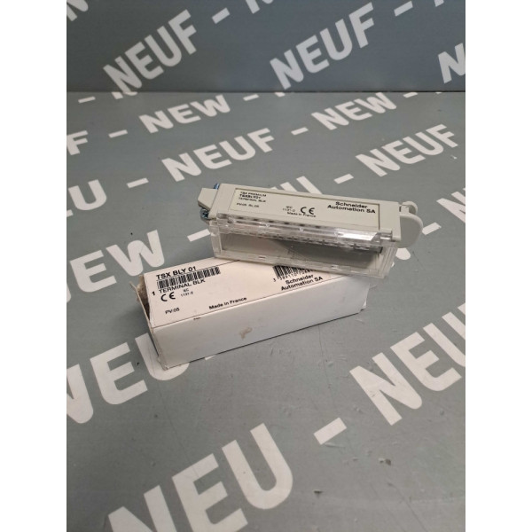SCHNEIDER  TSXBLY01