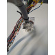 SCHNEIDER  BMXFTW301S