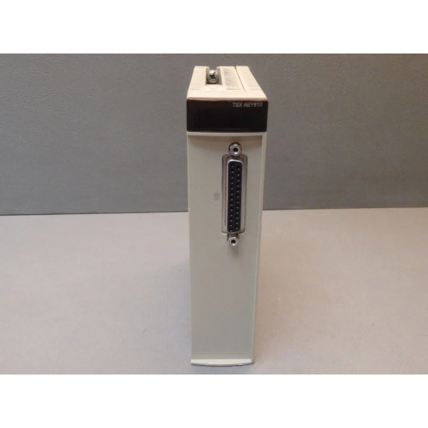 SCHNEIDER  TSXAEY810