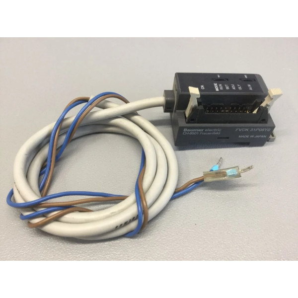 BAUMER ELECTRIC FVDK31P06Y0