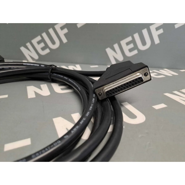 PAN INTERNATIONAL  W815397050103A04