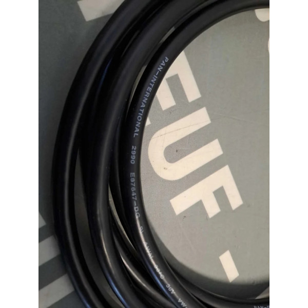 PAN INTERNATIONAL  W815397050103A04