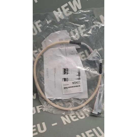 SAIA BURGESS PCD2.K241