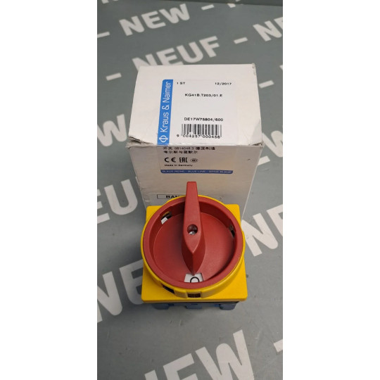 KRAUS & NAIMER KG41B.T203/01.E