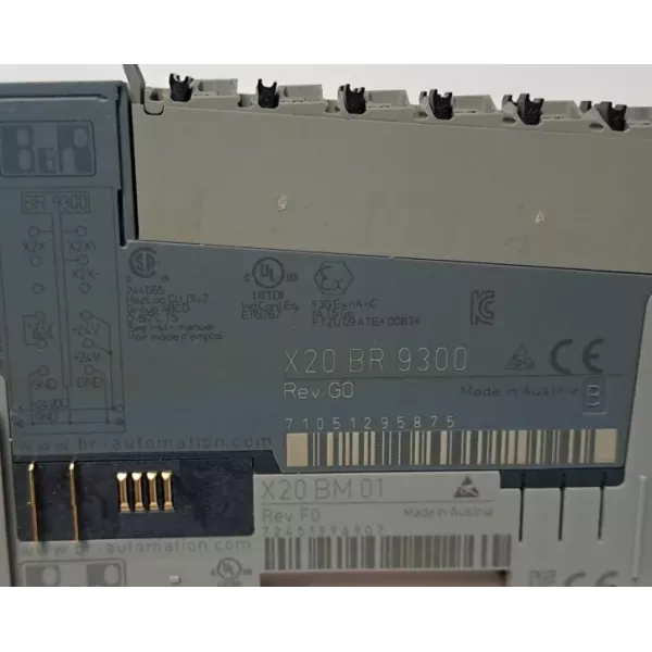 B&R X20BR9300