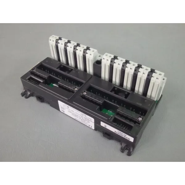 GE FANUC  IC670CHS002