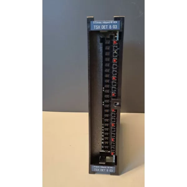 TÉLÉMÉCANIQUE  TSXDET803