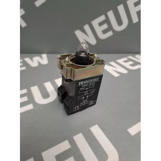 RAAS CONTROLS  RB2BV3