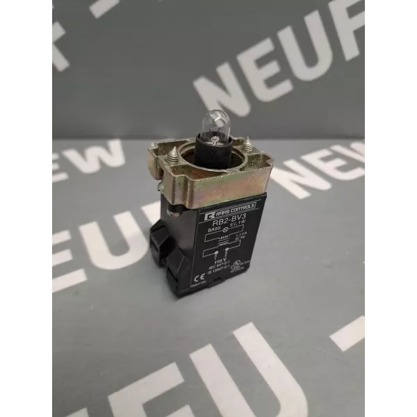 RAAS CONTROLS  RB2BV3