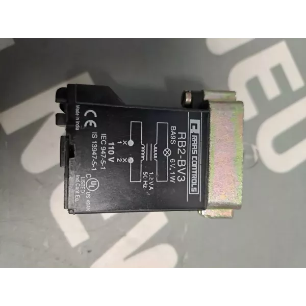 RAAS CONTROLS  RB2BV3