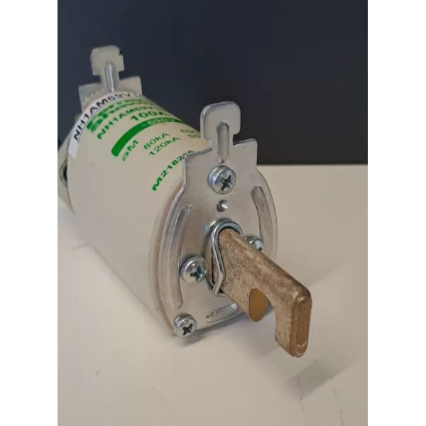 FERRAZ SHAWMUT NH1AM69V100P-2