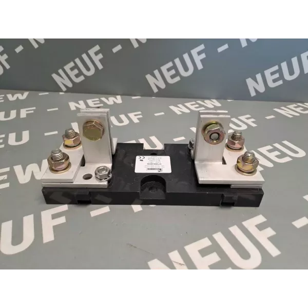 BUSSMANN 170H3006