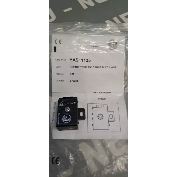 IFM  E70381