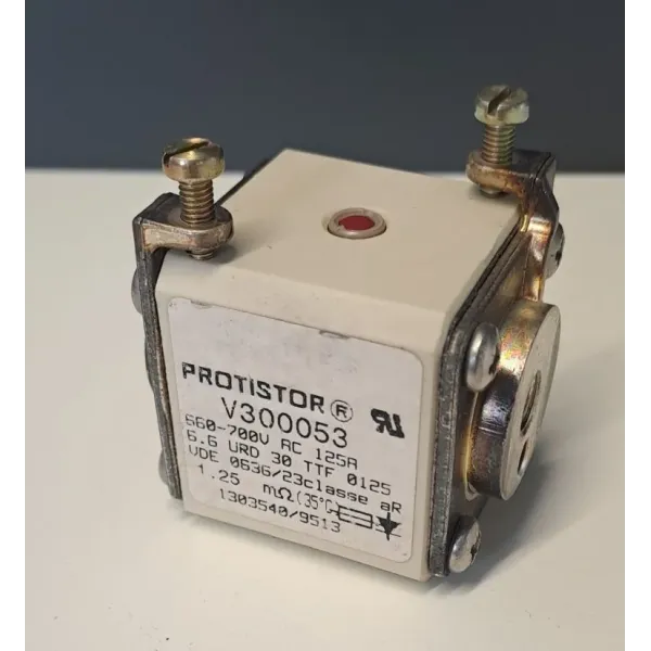 FERRAZ PROTISTOR V300053