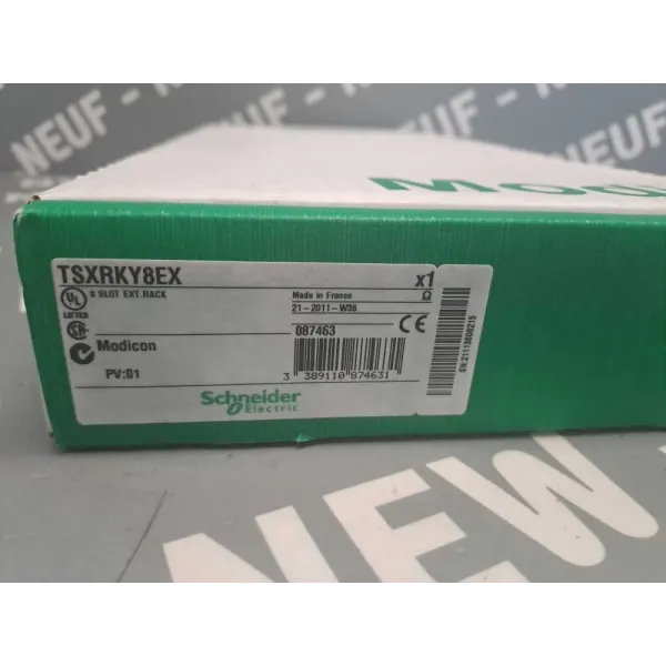 SCHNEIDER  TSXRKY8EX