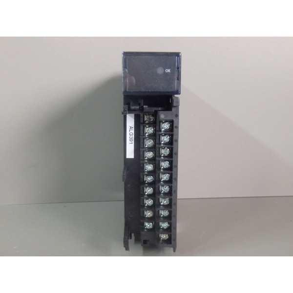 GE FANUC IC693ALG391